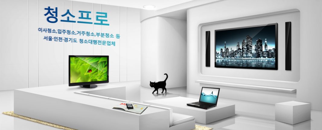 인천/부천/시흥/광명/안산/안양/군포/일산/용인/고양/수원/화성/서울 청소업체 ‘청소프로’
