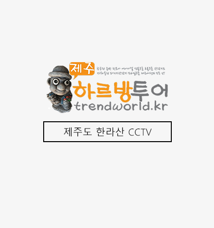 제주한라산CCTV.jpg